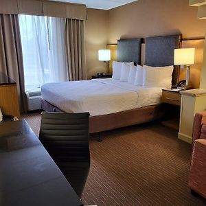 Superior King Suite
